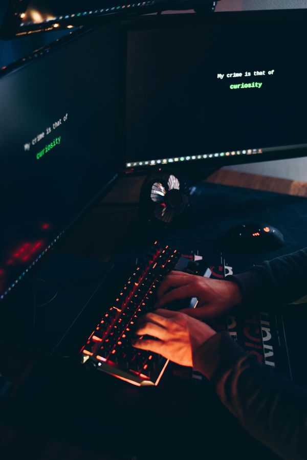 Blockchain-technologien: die zukunft des online-gamings in der Schweiz
